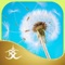 Goodbye Anxiety, Goodbye Fear is an audio program to train your mind, through hypnosis and meditation, to control anxiety, fears, and phobias
