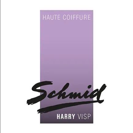 Haute Coiffure Harry Schmid Cheats