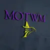 MOTWM RADIO problems & troubleshooting and solutions