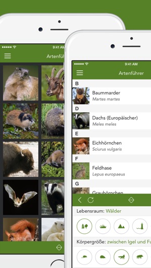 Wilde Tiere und Spuren PRO(圖2)-速報App