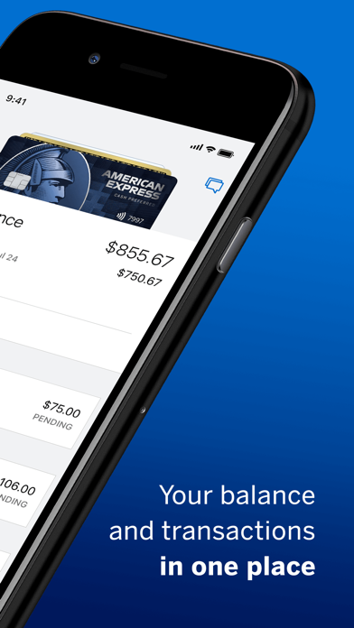 How to cancel & delete Amex from iphone & ipad 3