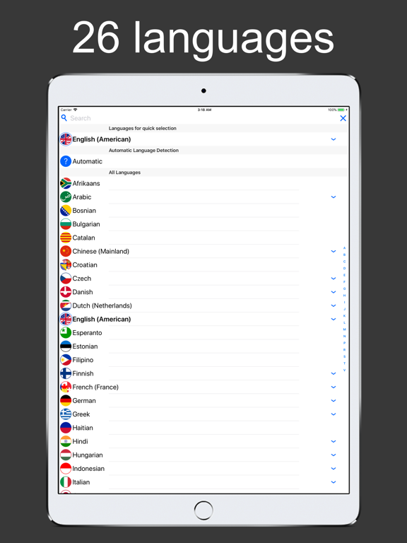 Translate Voice & Dictionary iPad screenshot