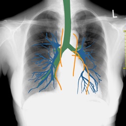 simu.Doc 画像診断シミュレーター