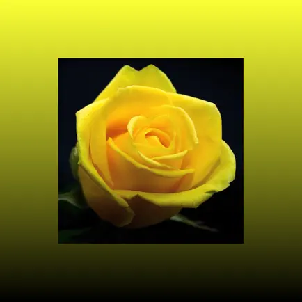 AlphaBlossom Читы
