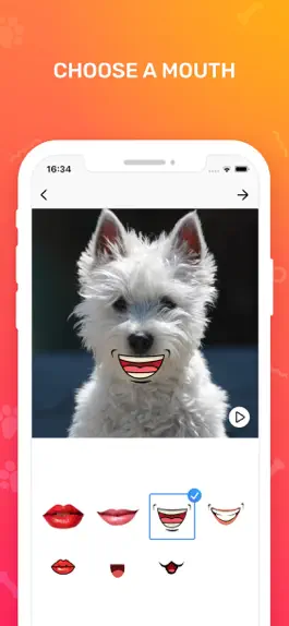 Game screenshot Make Your Pet Talk: Filters apk