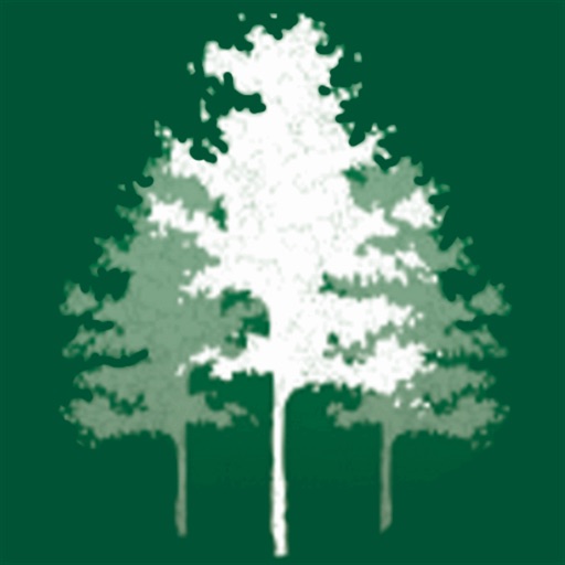 Aspen Network Icon