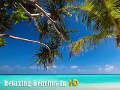 Relaxing Beaches In HD iPad image 1