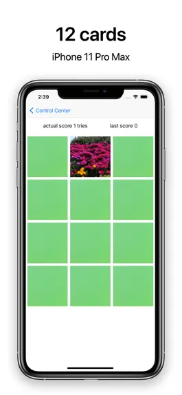 Game screenshot pairs foto hack