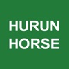 胡润马道 Hurun Horse
