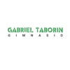 Gabriel Taborin icon