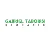 Similar Gabriel Taborin Apps