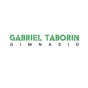 Gabriel Taborin app download