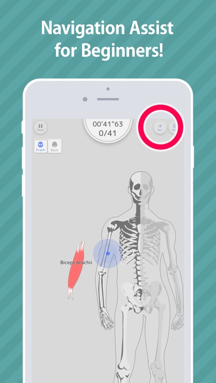 Enjoy Learning Muscles Puzzle screenshot-5