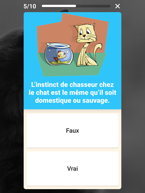 Screenshot #6 pour Speez - Les chats