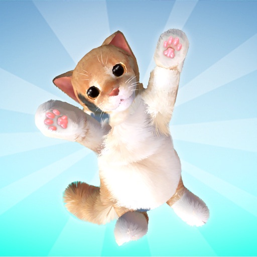 Fluffy Cat 3D