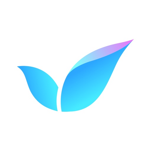 RealSkill—您身边的雅思托福学习专家