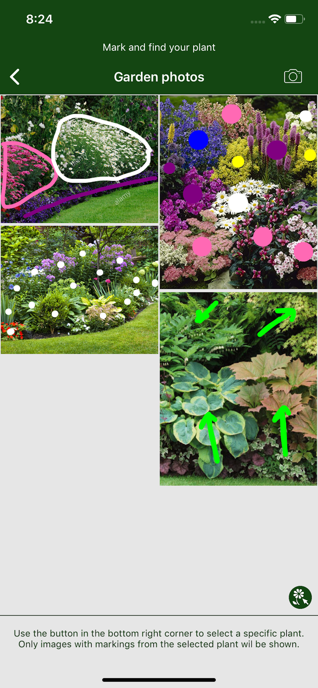 Hortus - Plants in your garden