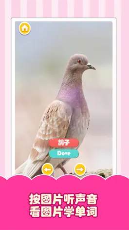 Game screenshot 认动物-动物声音、看图识字 hack