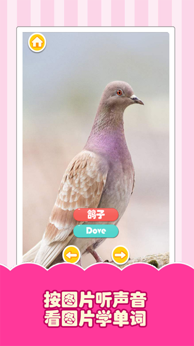 认动物-动物声音、看图识字 screenshot 3