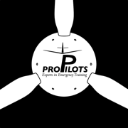 ProPilots 飛機