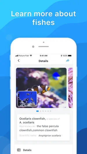 Picture Fish - Fish Identifier screenshot 4