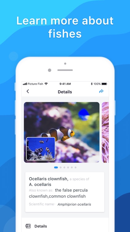 Picture Fish - Fish Identifier screenshot-3