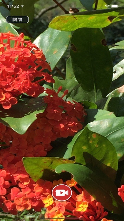 Sound Photo screenshot-8