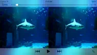 3D Side by Side iphone bilder 1
