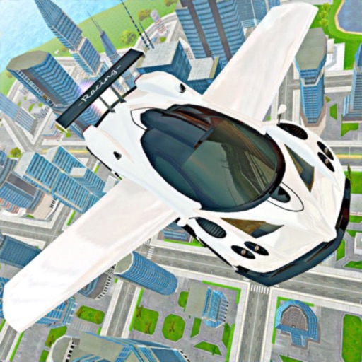 Flying Car Games: Flight Sim icon