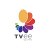 TVee Digital TV - viginet
