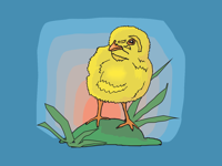 Chicken Chick Emojis