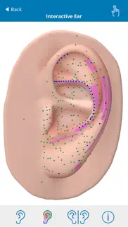 auriculo 360 - the living ear problems & solutions and troubleshooting guide - 4