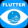 Flutter示例+