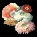 Vintage floral art stickers App Positive Reviews