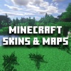 Addons for Minecraft PE - Skin icon