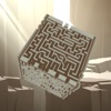 toy maze 3D icon