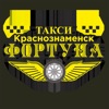 Фортуна - Краснознаменск icon