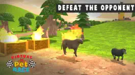 Game screenshot Virtual Pet World Racing Town hack
