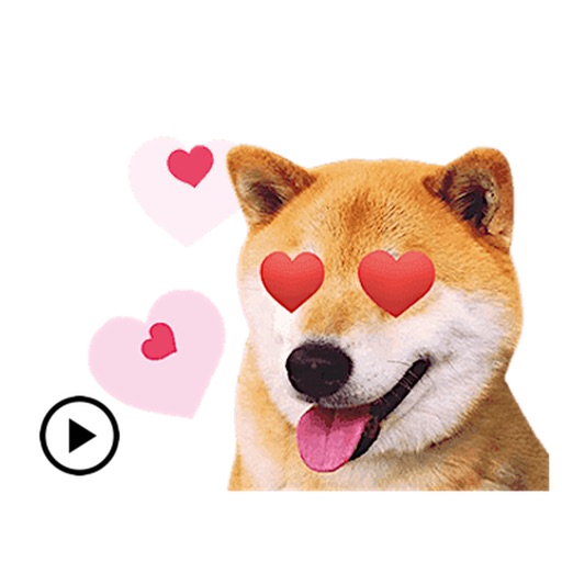 Adorable Shiba Inu Dog Sticker