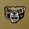 Golden Grizzlies Fans