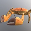 Crab Run icon