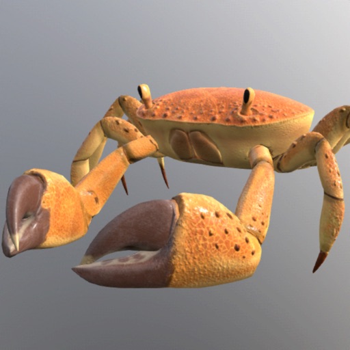 Crab Run iOS App