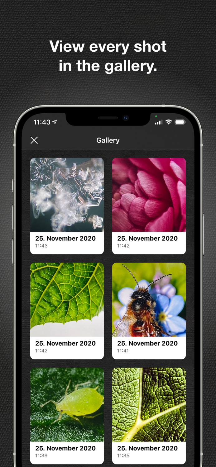 iMicroscope - Magnifying Glass