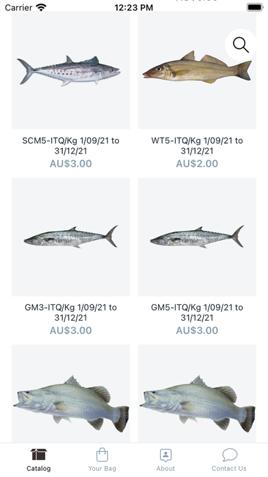 Saltwater Online Screenshot