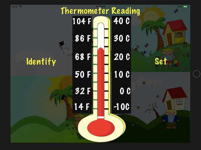 Thermometer Reading