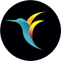 bebird Pro Reviews