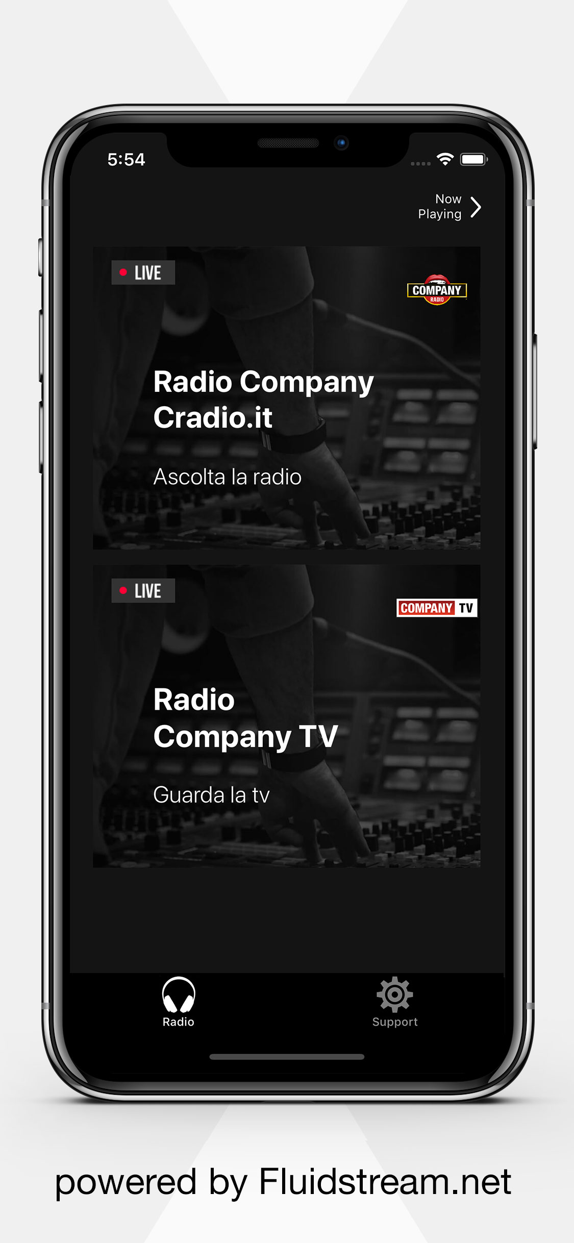Radio Company - Campania
