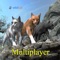 Cat Multiplayer