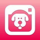 Top 29 Photo & Video Apps Like DogCam - Dog Selfie Camera - Best Alternatives