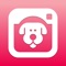 Use DogCam to play distracting sound effects whilst you snap photos or videos of your pup - they'll be so focused on the sounds you'll capture their best look every time